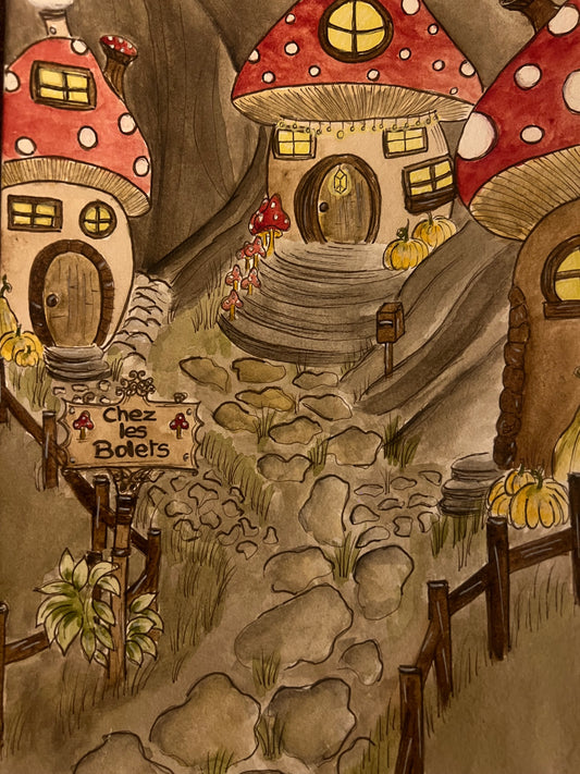 Chez les bolets 🍄‍🟫